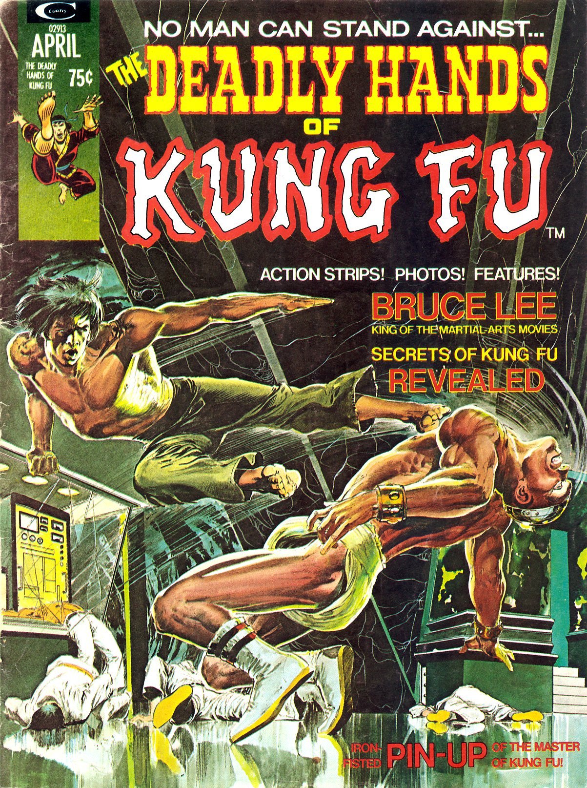Portada ampliada de THE DEADLY HANDS OF KUNG FU