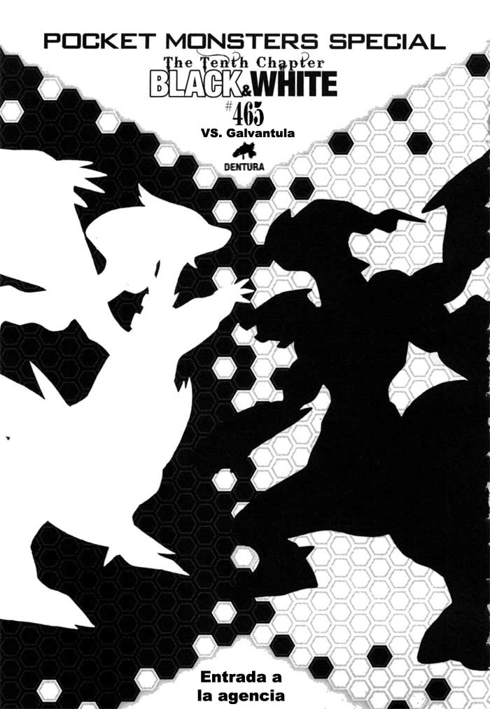 Portada ampliada de POCKET MONSTERS SPECIAL The Tenth Chapter BLACK&WHITE