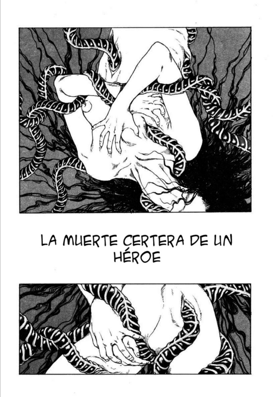 Portada ampliada de LA MUERTE CERTERA DE UN HÉROE