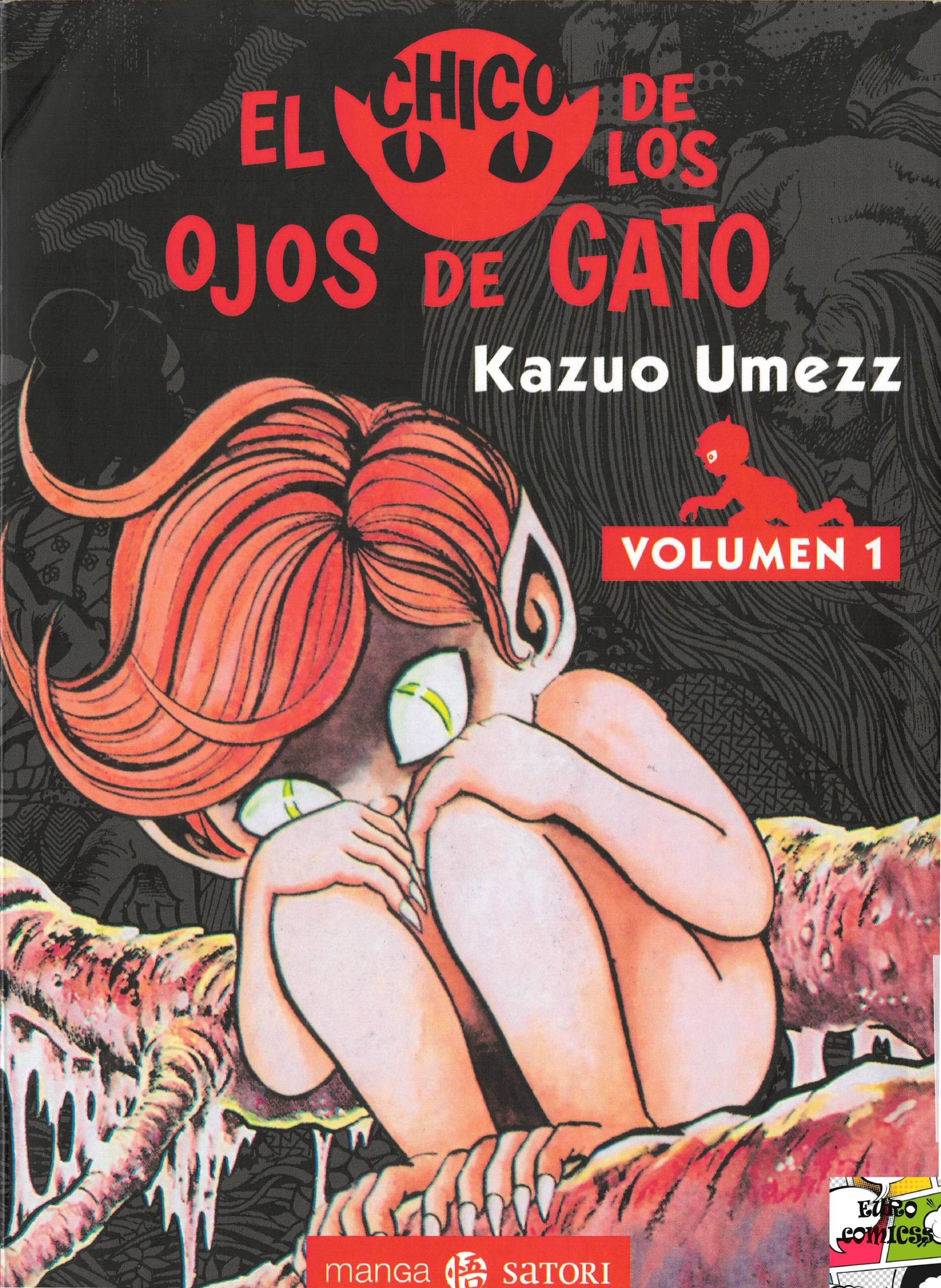 Portada ampliada de EL CHICO DE LOS OJOS DE GATO