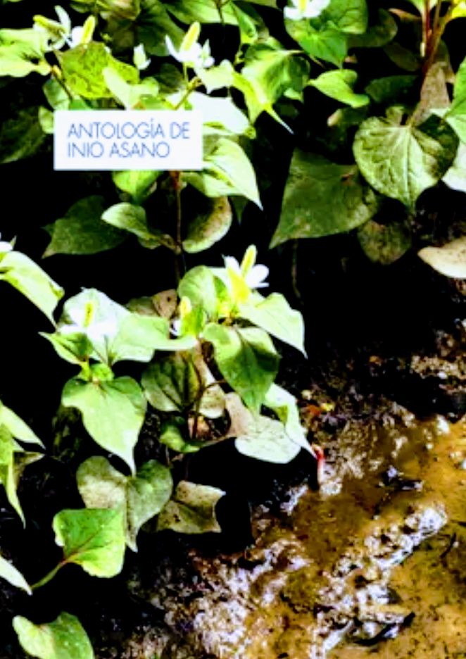 Portada ampliada de ANTOLOGIA DE