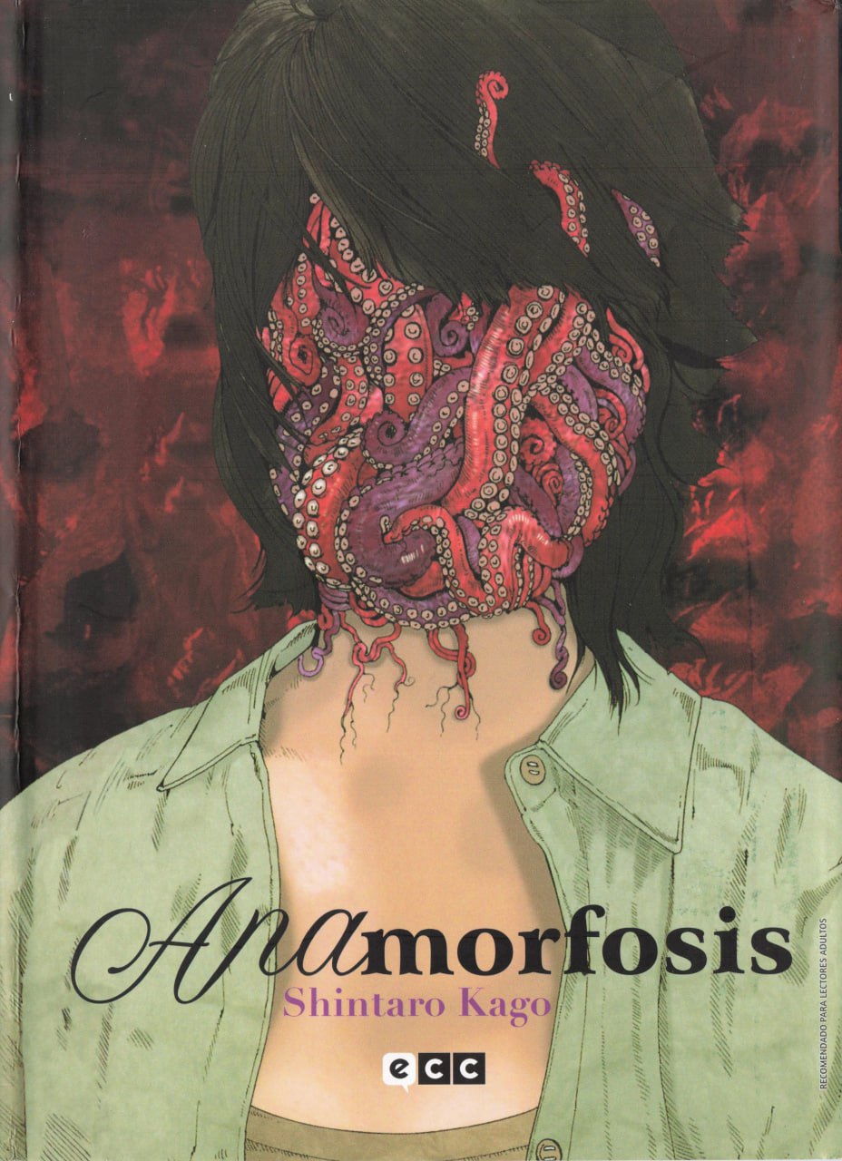 Portada ampliada de Anamorfosis