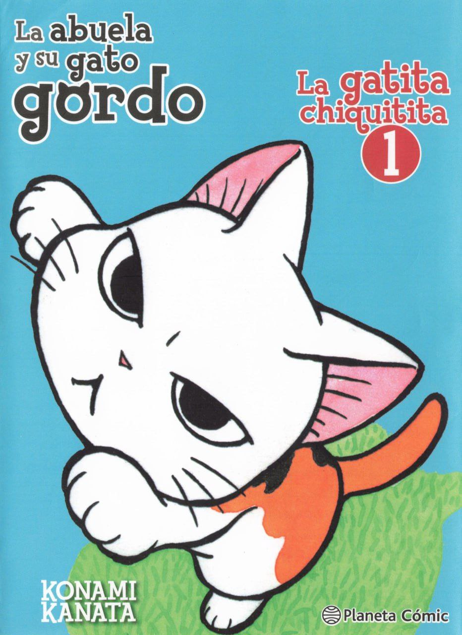 Portada ampliada de La abuela y su gato gordo La gatita chiquitita