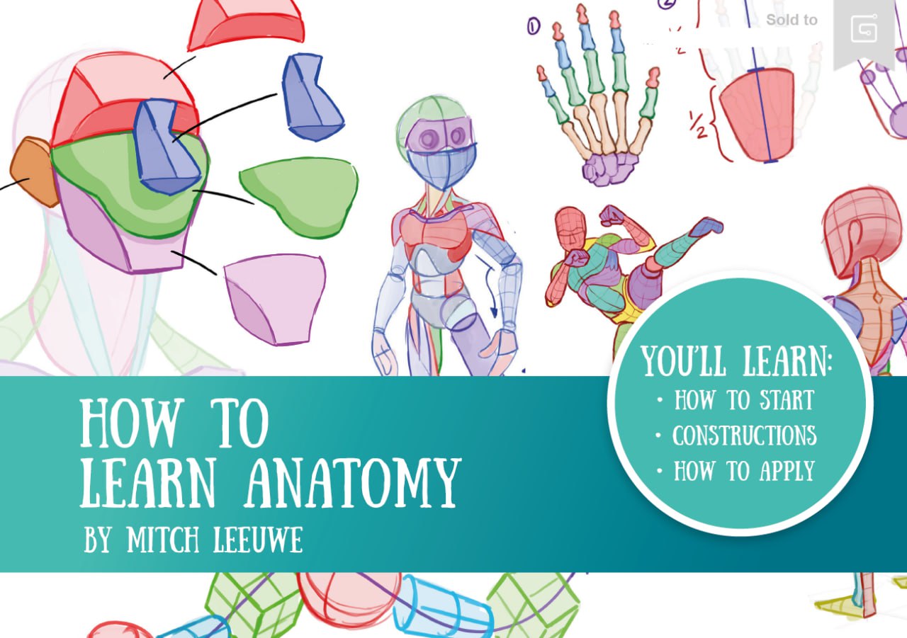 Portada ampliada de HOW TO LEARN ANATOMY