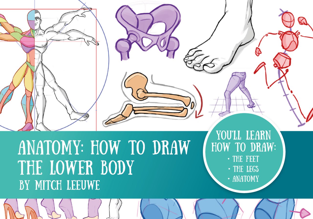 Portada ampliada de ANATOMY: HOW TO DRAW THE LOWER BODY