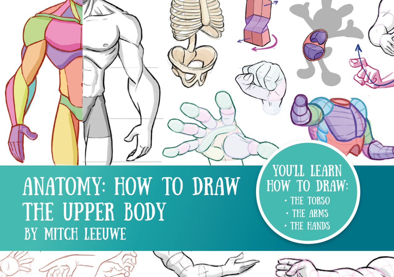 Portada ampliada de ANATOMY: HOW TO DRAW THE UPPER BODY