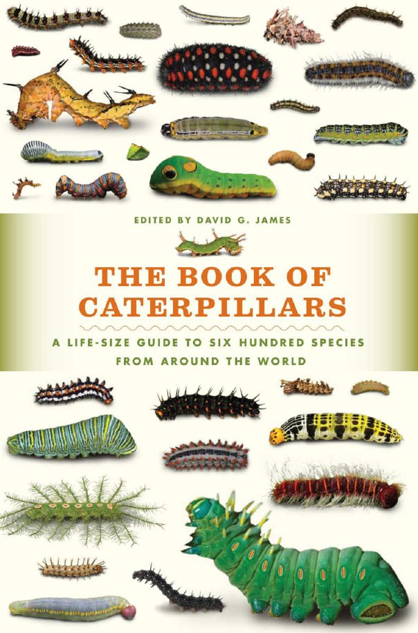 Portada ampliada de THE BOOK OF CATERPILLARS