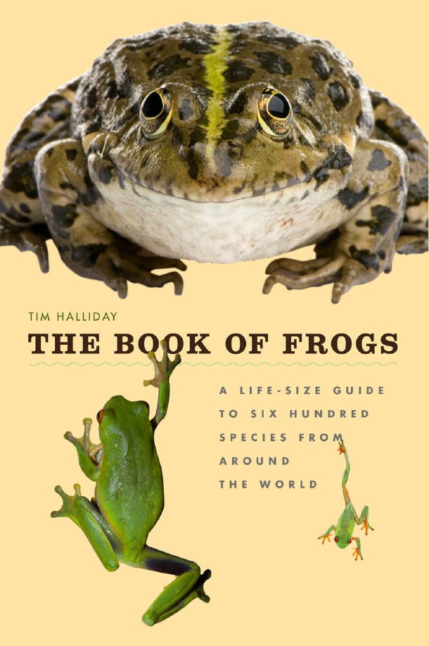 Portada ampliada de THE BOOK OF FROGS