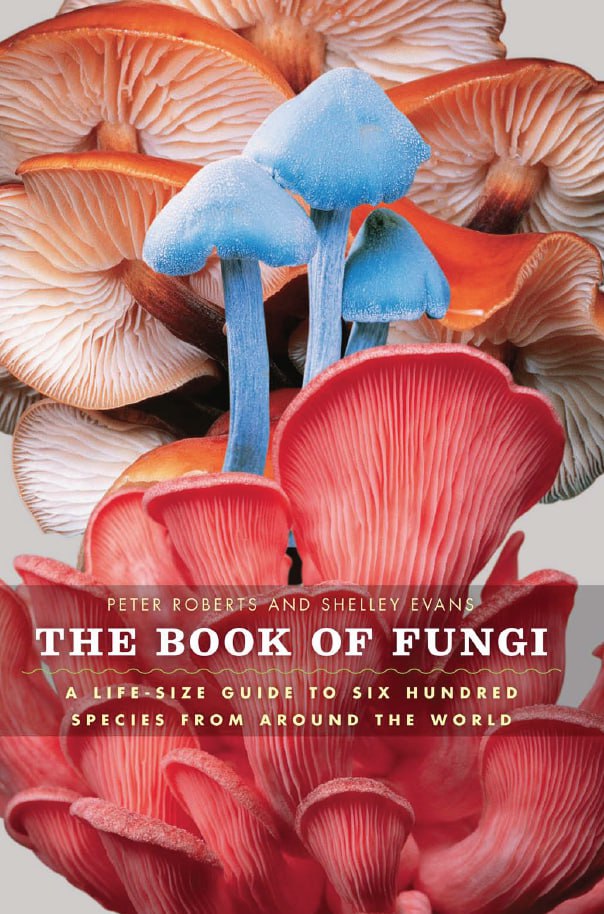 Portada ampliada de THE BOOK OF FUNGI