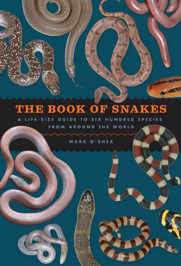 Portada ampliada de THE BOOK OF SNAKES