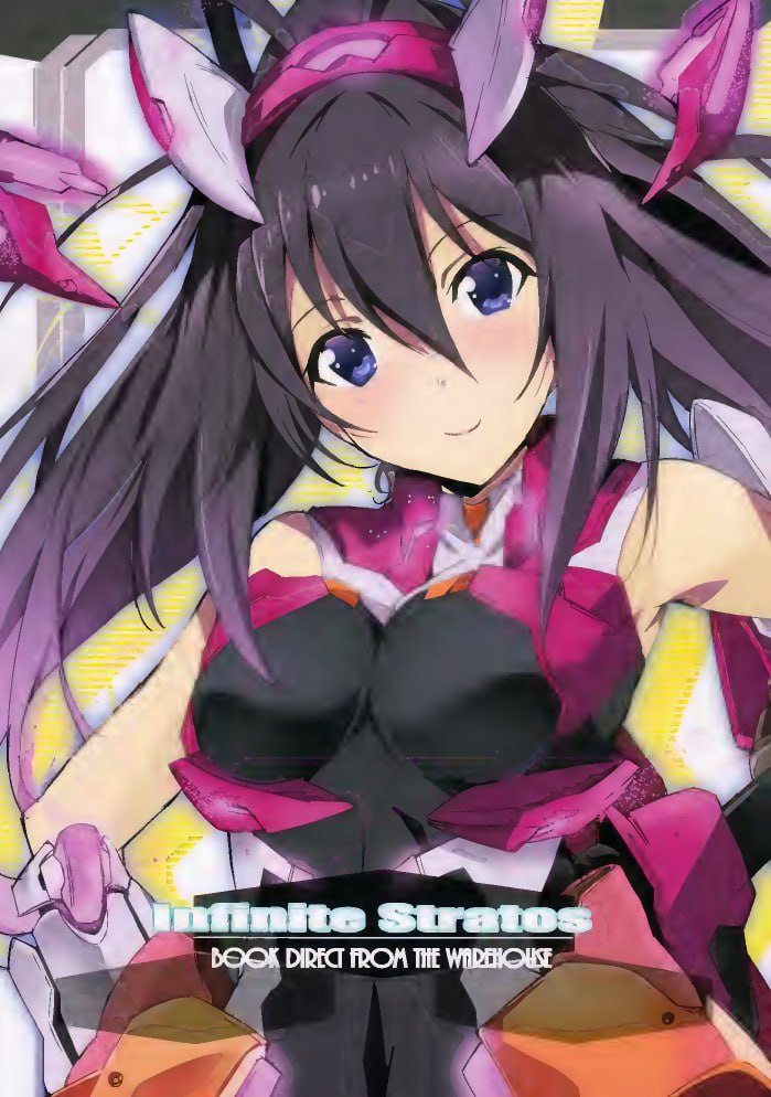 Portada ampliada de Infinite Stratos