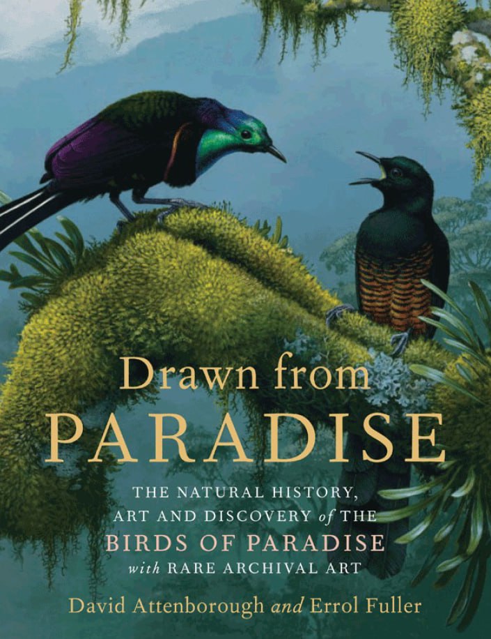 Portada ampliada de Drawn from PARADISE