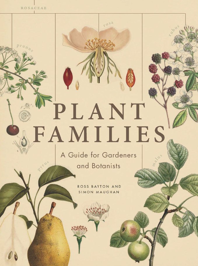Portada ampliada de Plant Families