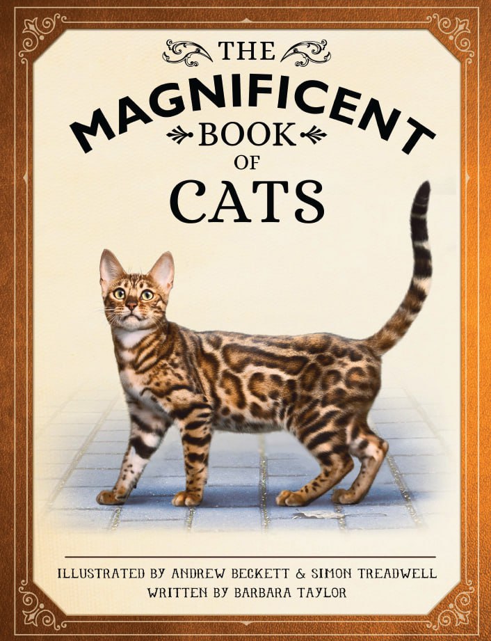 Portada ampliada de THE MAGNIFICENT BOOK OF CATS