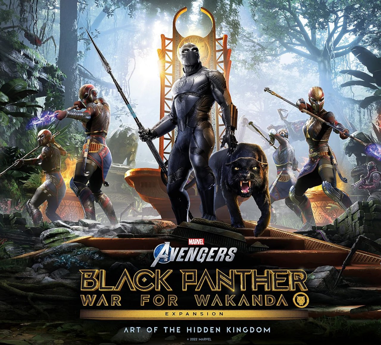 Portada ampliada de BLACK PANTHER WAR FOR WAKANDA