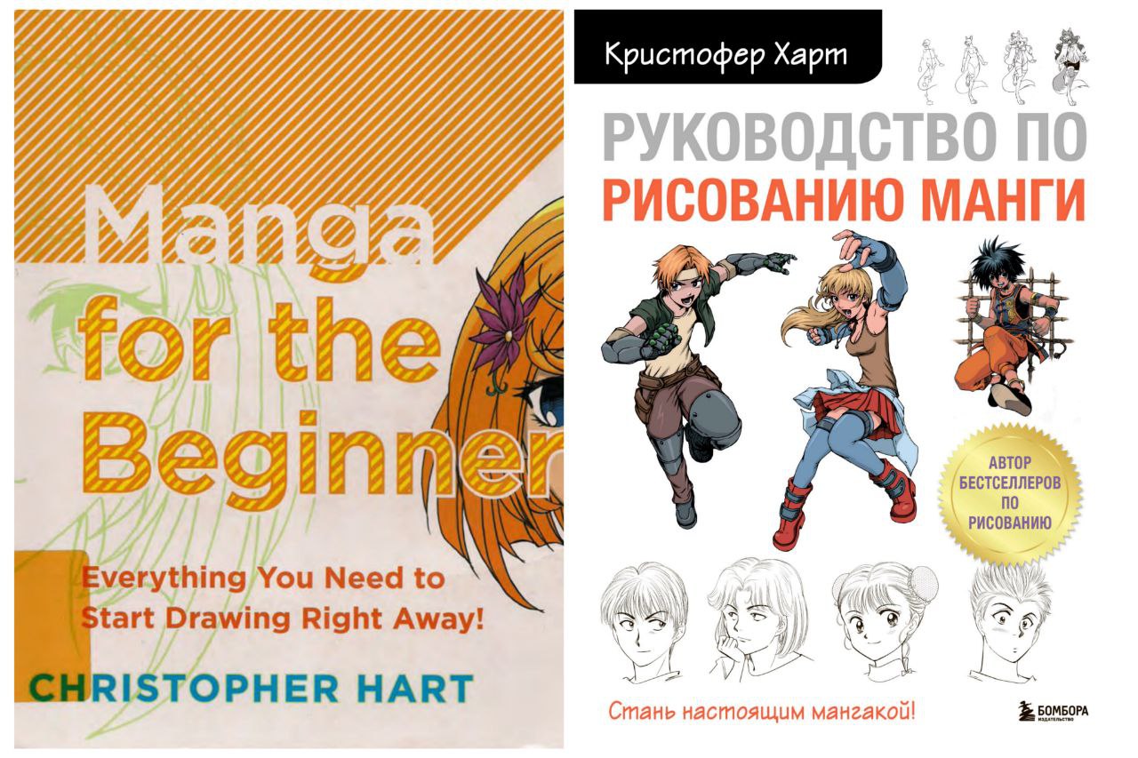 Portada ampliada de Manga for the Beginner