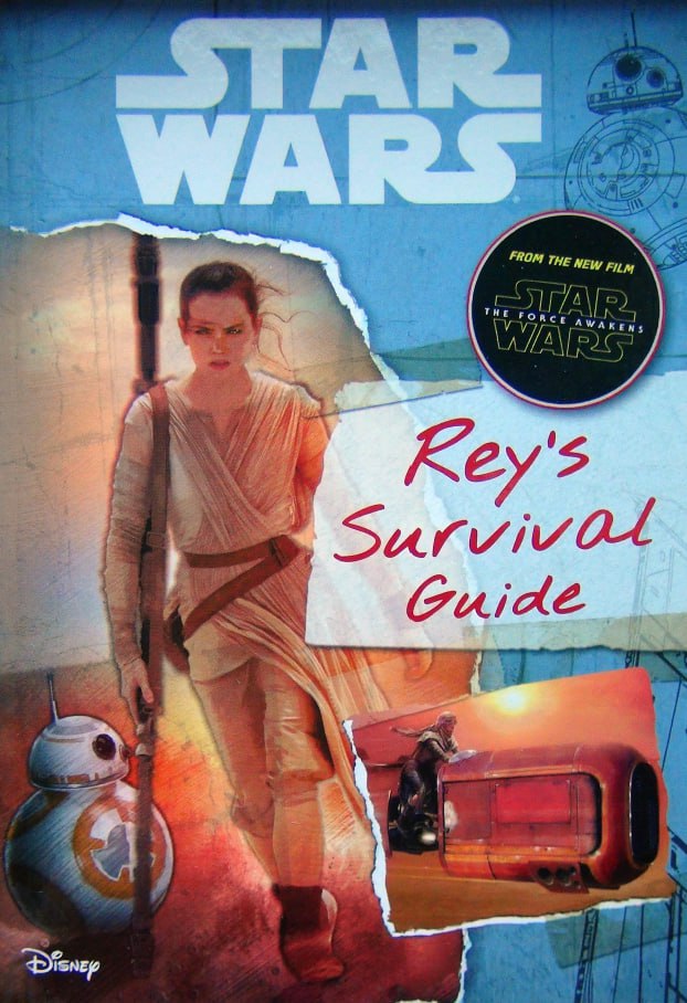Portada ampliada de Rey's Survival Guide