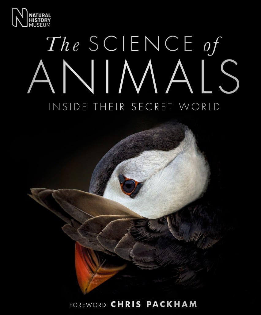 Portada ampliada de The SCIENCE of ANIMALS INSIDE THEIR SECRET WORLD