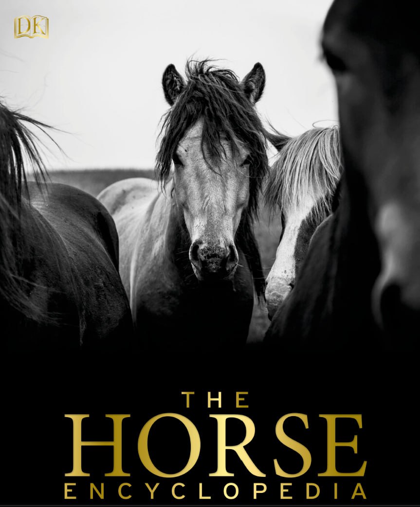 Portada ampliada de THE HORSE ENCYCLOPEDIA