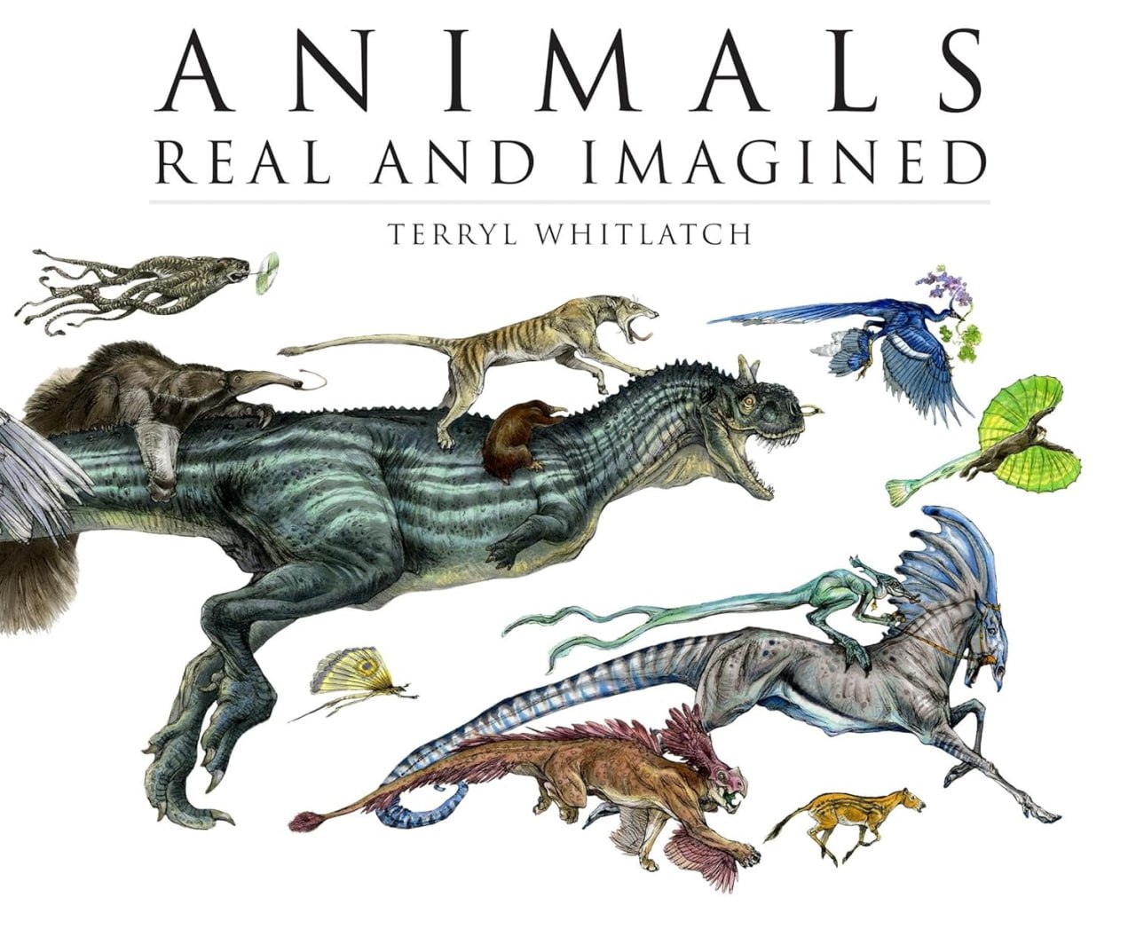 Portada ampliada de ANIMALS REAL AND IMAGINED