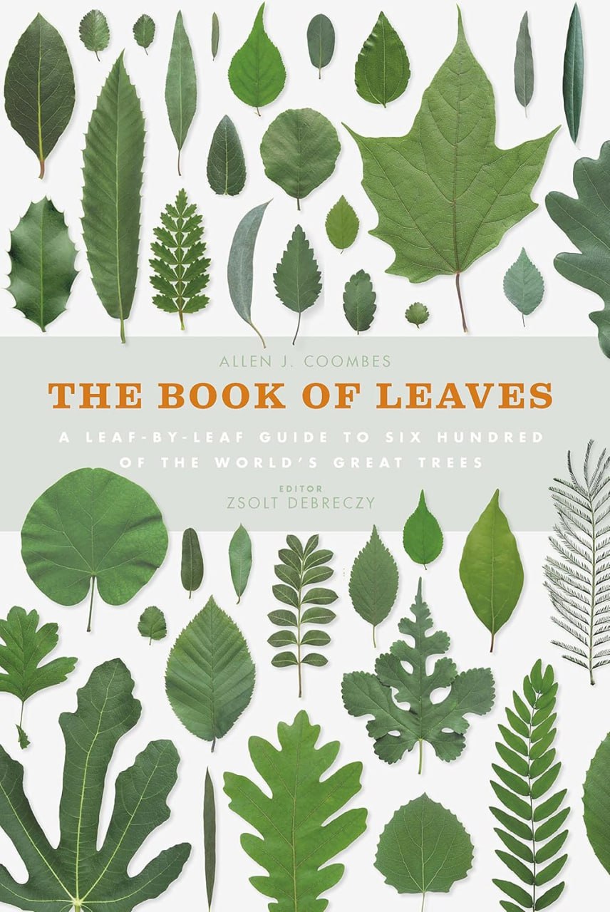 Portada ampliada de THE BOOK OF LEAVES