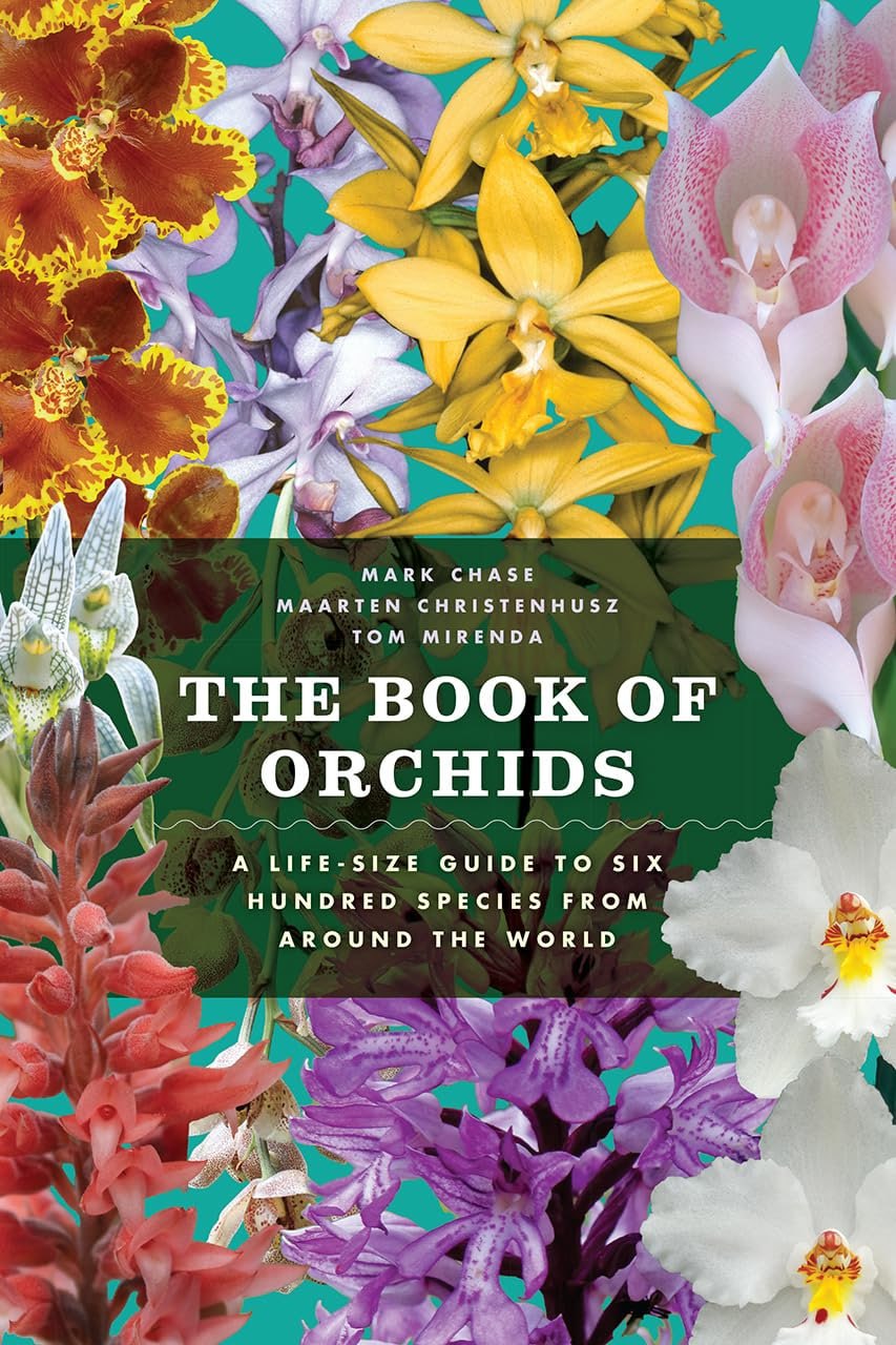 Portada ampliada de THE BOOK OF ORCHIDS