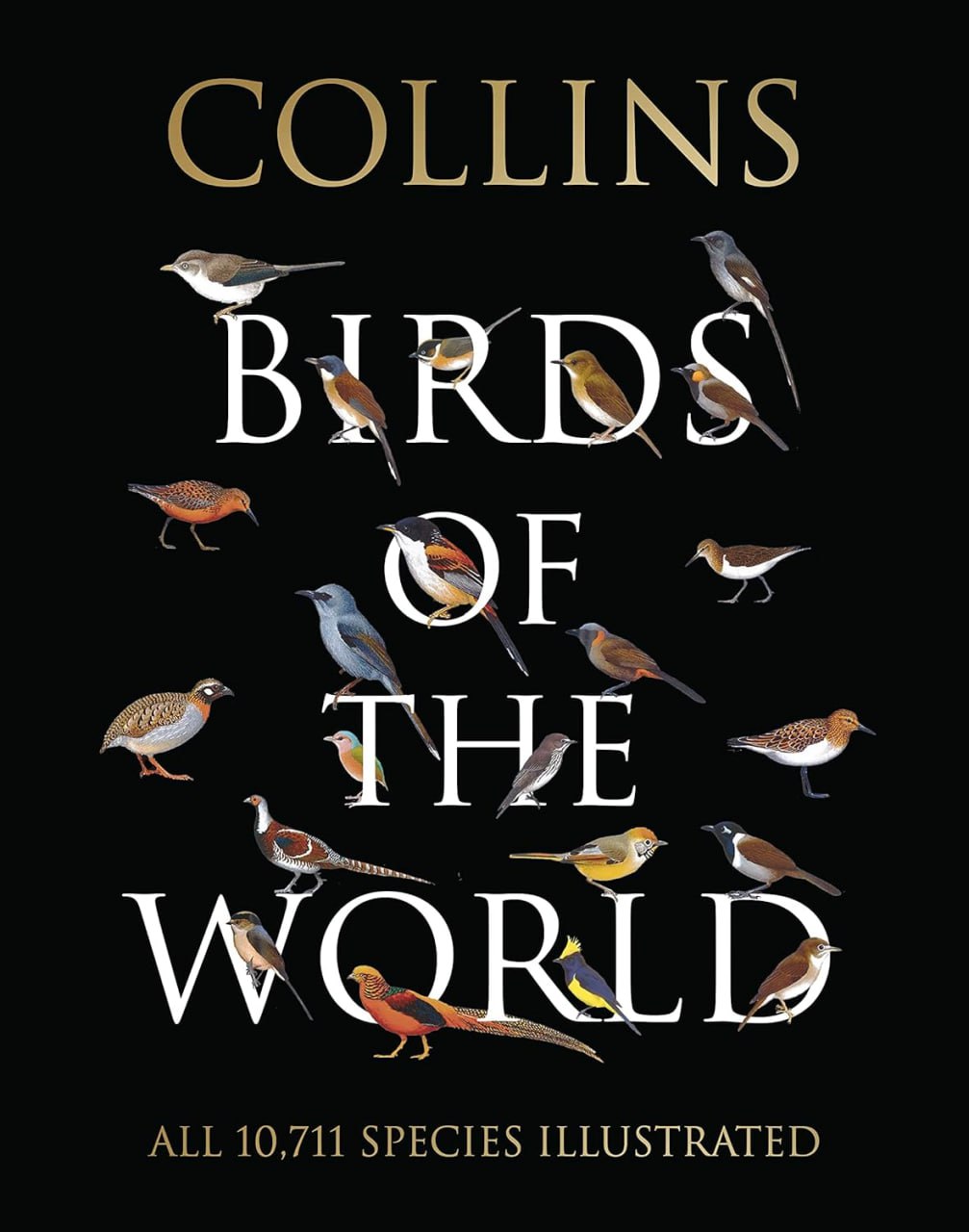 Portada ampliada de BIRDS OF THE WORLD