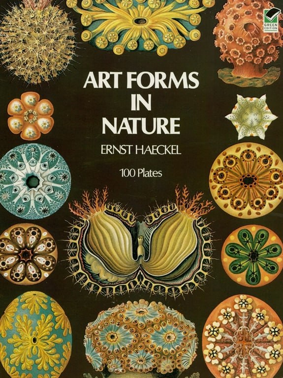 Portada ampliada de ART FORMS IN NATURE