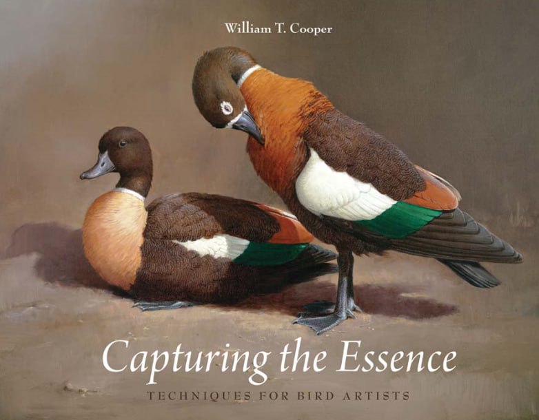 Portada ampliada de Capturing the Essence