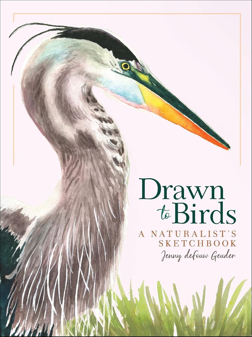 Portada ampliada de Drawn to Birds