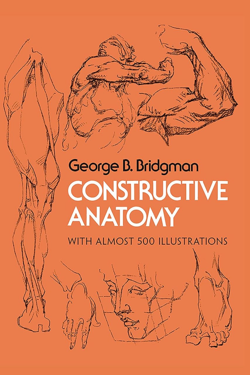 Portada ampliada de Constructive Anatomy: Includes Nearly 500 Illustrations Constructive Anatomy, an anatomical reference guide for the work