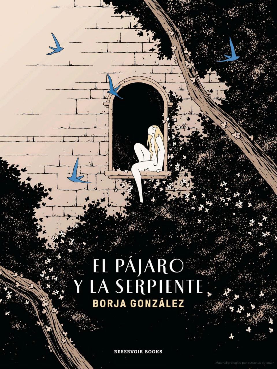 Portada ampliada de EL PÁJARO Y LA SERPIENTE
