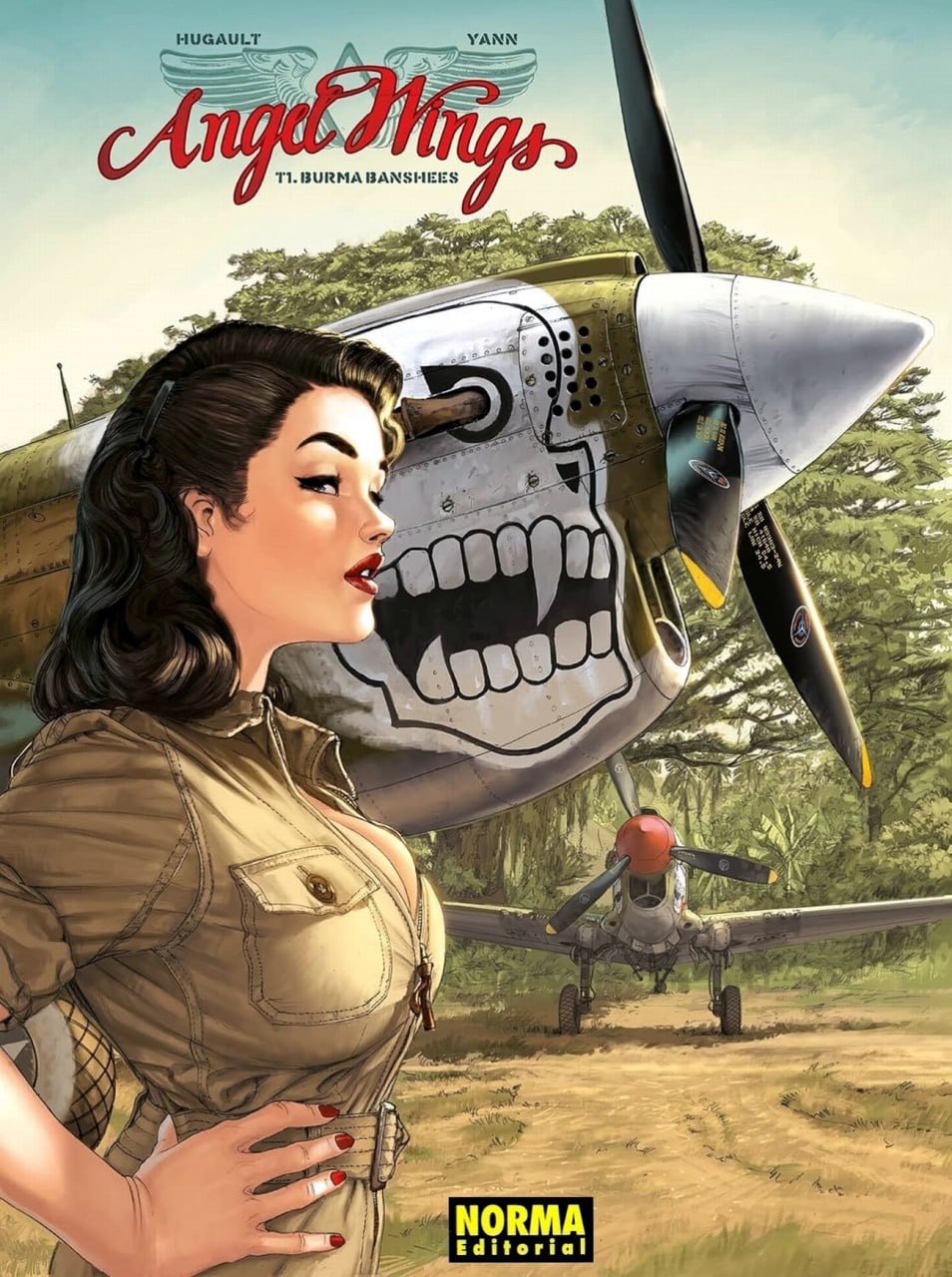 Portada ampliada de Angel Wings T1. Burma Banshees
