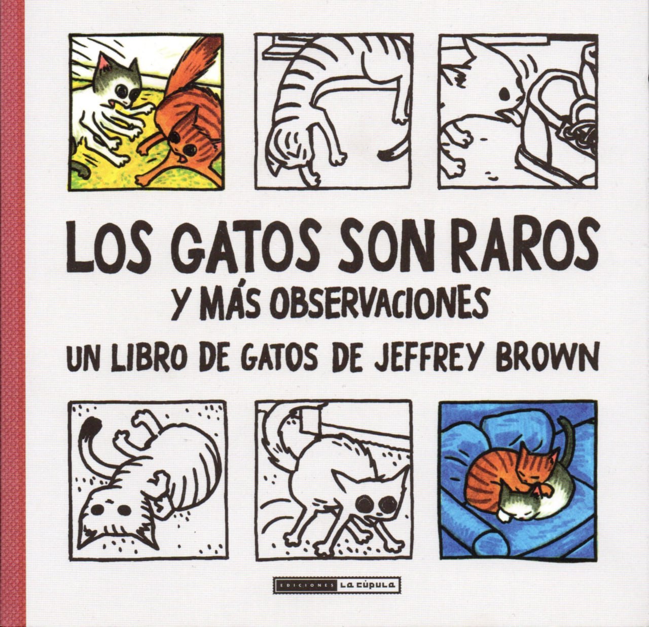 Portada ampliada de LOS GATOS SON RAROS y MÁS OBSERVACIONES