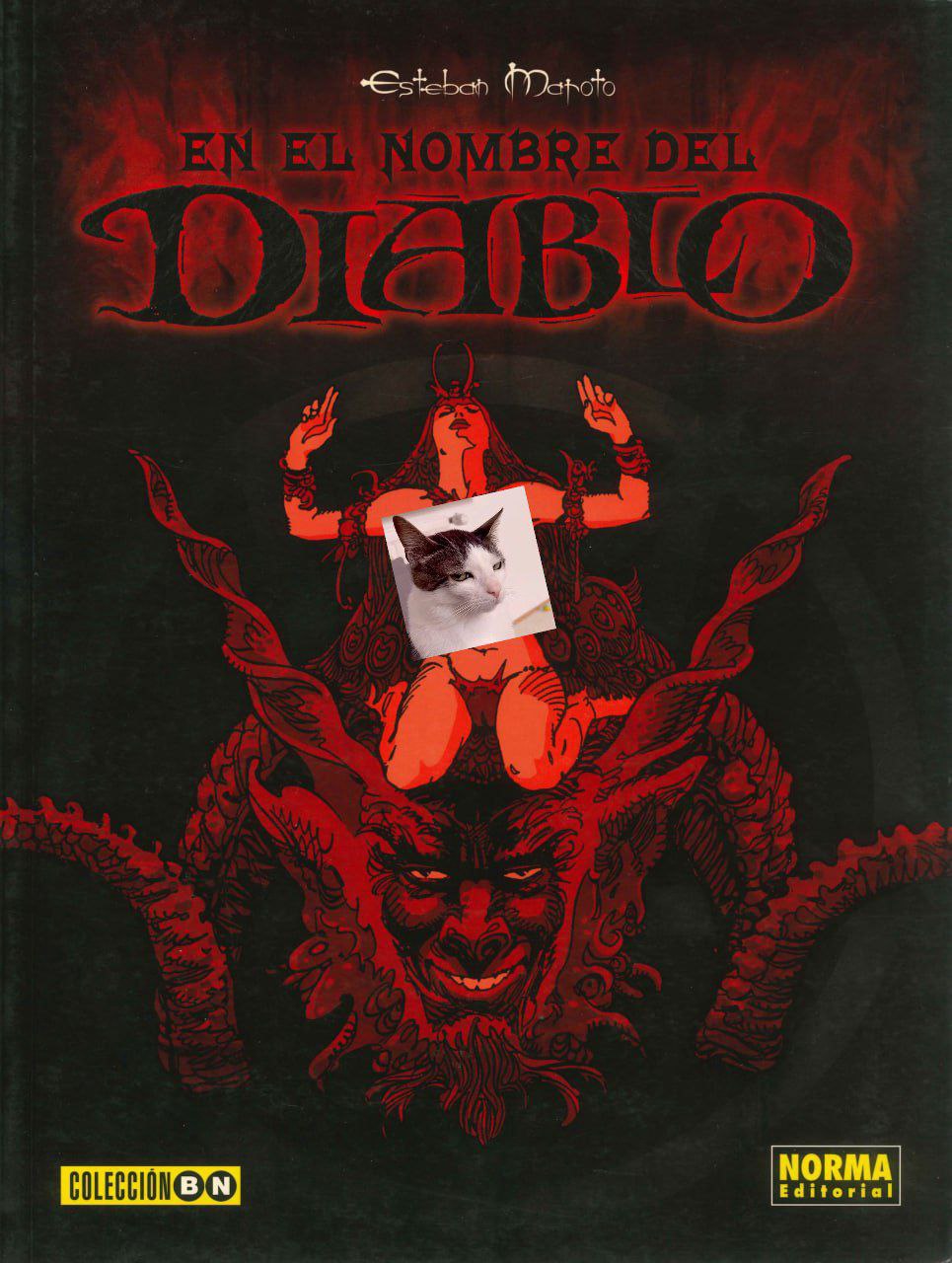 Portada ampliada de EN EL NOMBRE DEL DIABLO