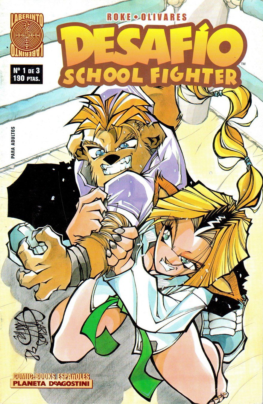 Portada ampliada de Desafío School Fighter