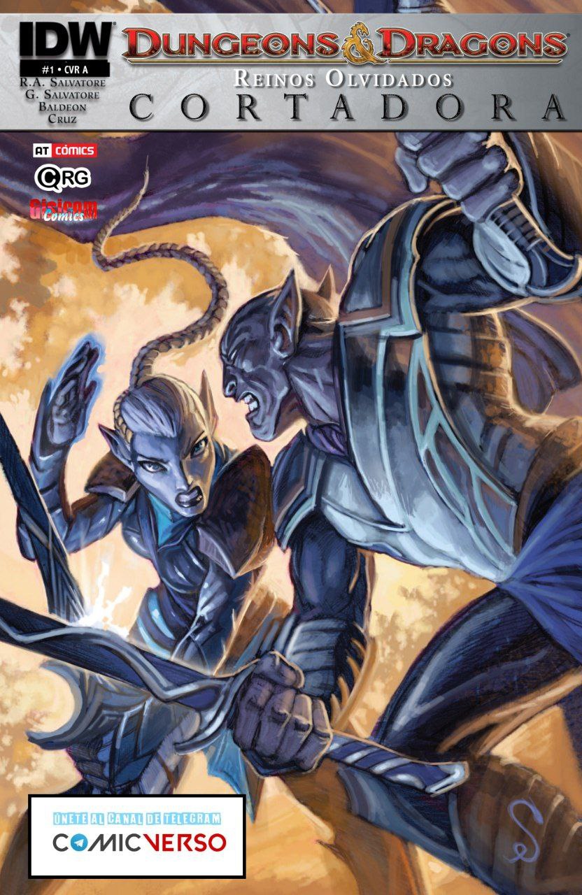 Portada ampliada de Dungeons & Dragons Penos Olvidados Cortadora