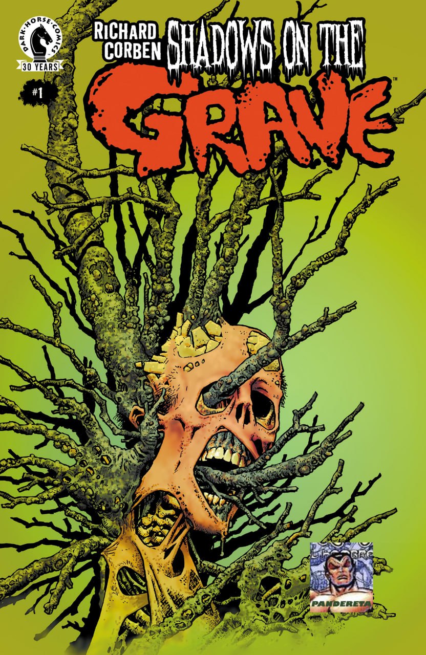 Portada ampliada de SHADOWS ON THE GRAVE