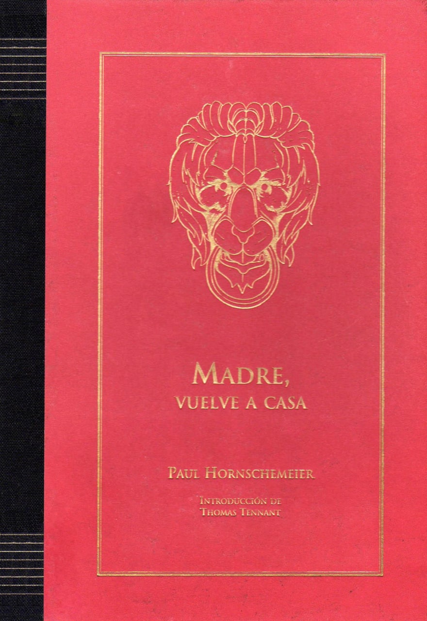 Portada ampliada de MADRE, VUELVE A CASA