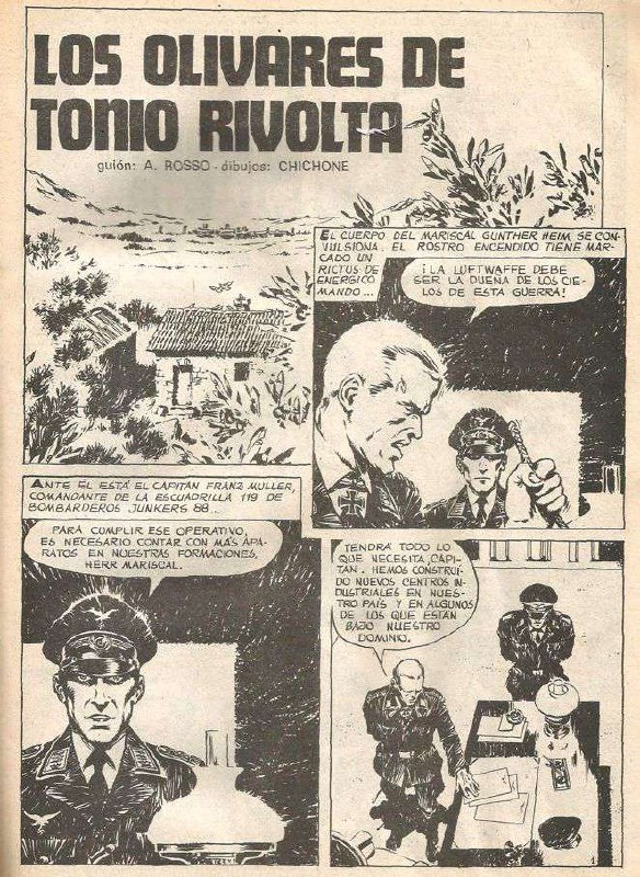 Portada ampliada de LOS OLIVARES DE TONIO RIVOLTA