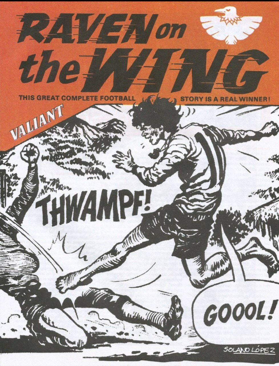 Portada ampliada de RAVEN on the WING
