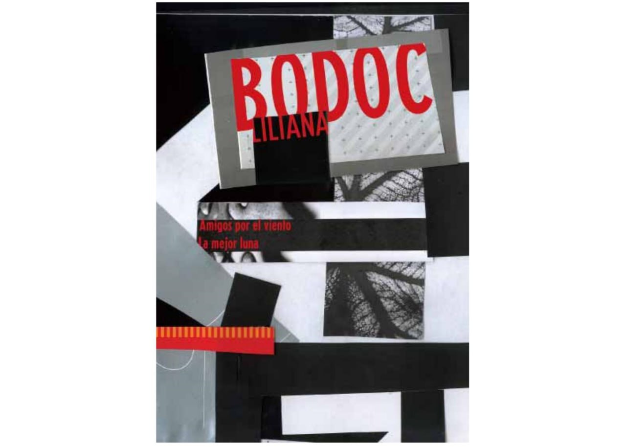 Portada ampliada de BODOC