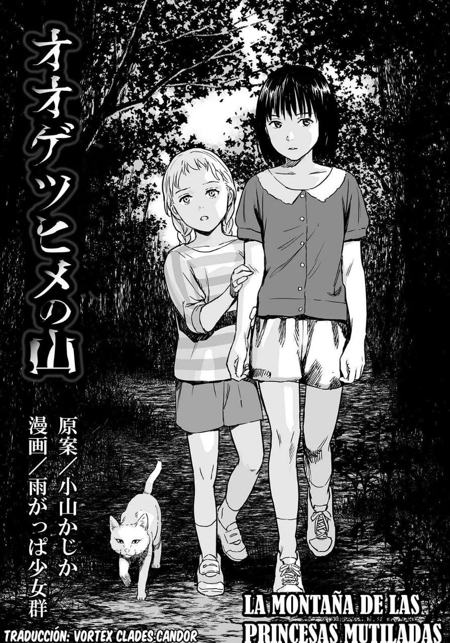 Portada ampliada de LA MONTAÑA DE LAS PRINCESAS MUTILADAS