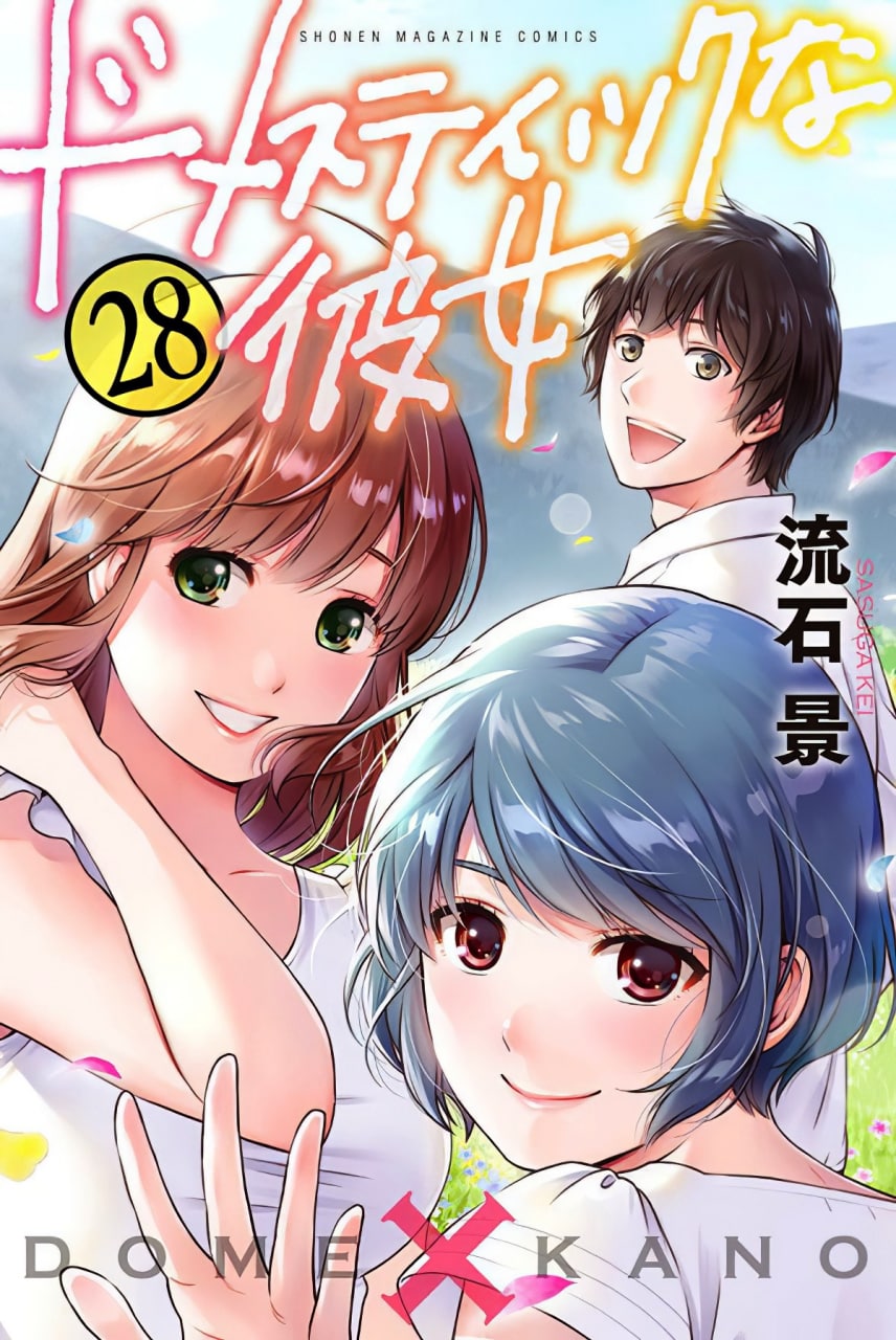 Portada ampliada de Domestic Na Kanojo