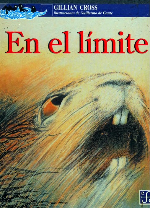 Portada ampliada de En el límite