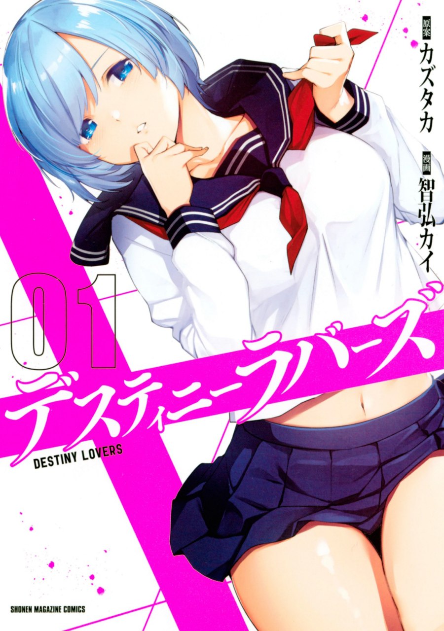 Portada ampliada de DESTINY LOVERS