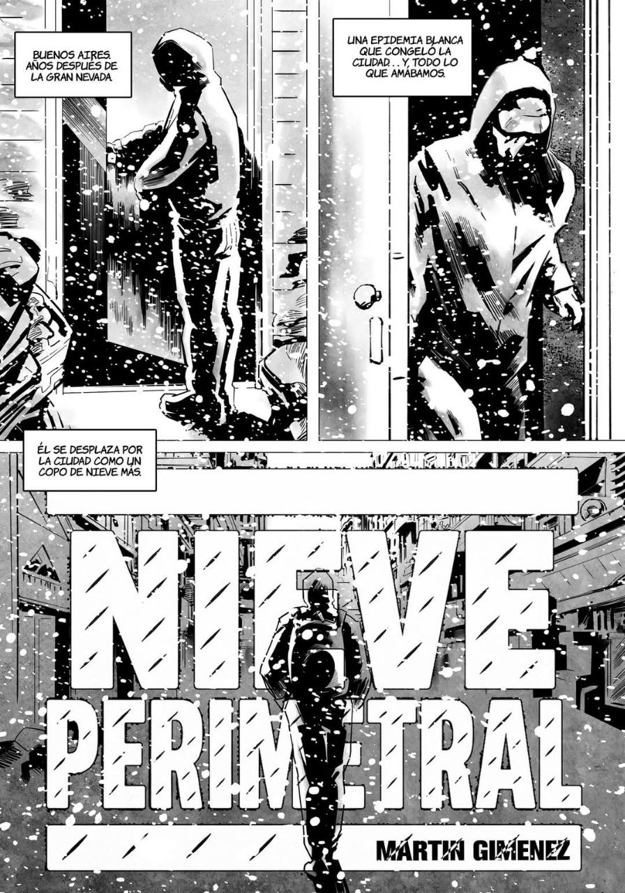 Portada ampliada de NIVE PERIMETRAL