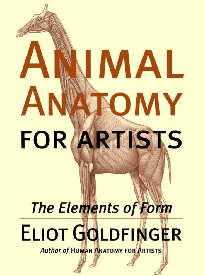 Portada ampliada de ANIMAL ANATOMY FOR ARTISTS