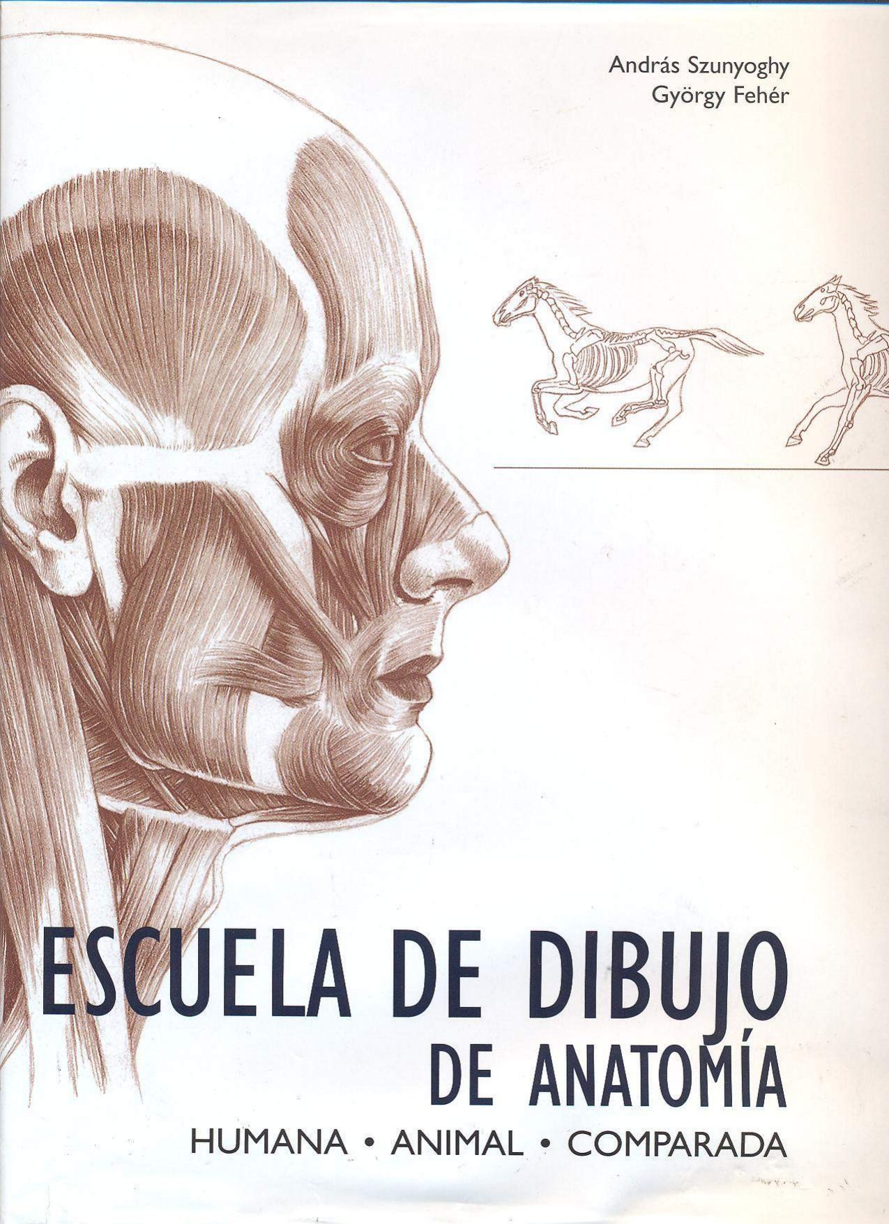 Portada ampliada de ESCUELA DE DIBUJO DE ANATOMÍA