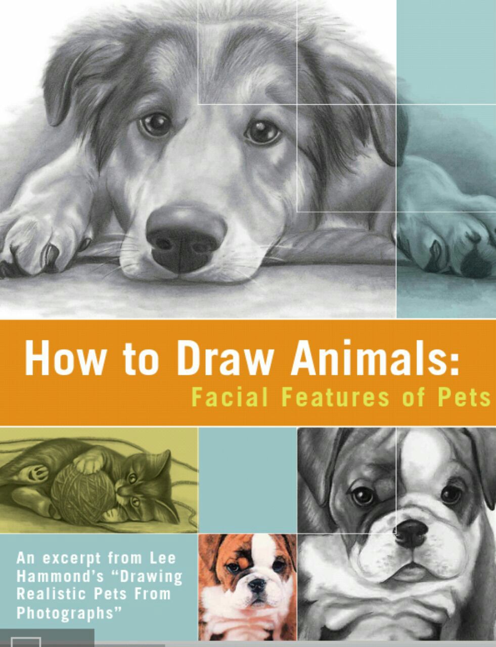 Portada ampliada de How to Draw Animals: Facial Features of Pets